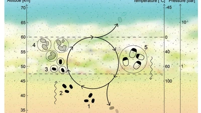 Life on Venus? featured image