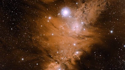 SIGNALS of Giant HII Regions: A Spatially Resolved Analysis of NGC 604 featured image