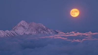 IOMN 2022: The Moon Through the Ages featured image