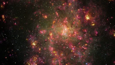 SIGNALS of Star Formation in Local Galaxies featured image