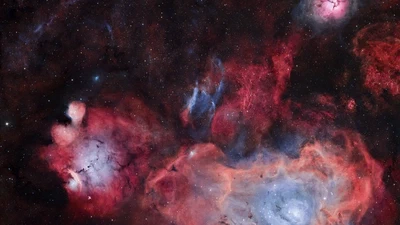 Welcome to the Night Sky: A Talk and Star Party! featured image