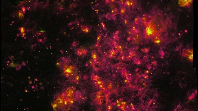 The Physical Properties of HII Regions in SIGNALS featured image