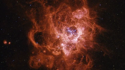Poster: SIGNALS of Giant HII Regions: Resolved Ionization & Abundance Properties of NGC 604 featured image