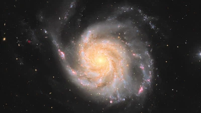 M101 Group: Galaxy Evolution in a Nearby Laboratory featured image