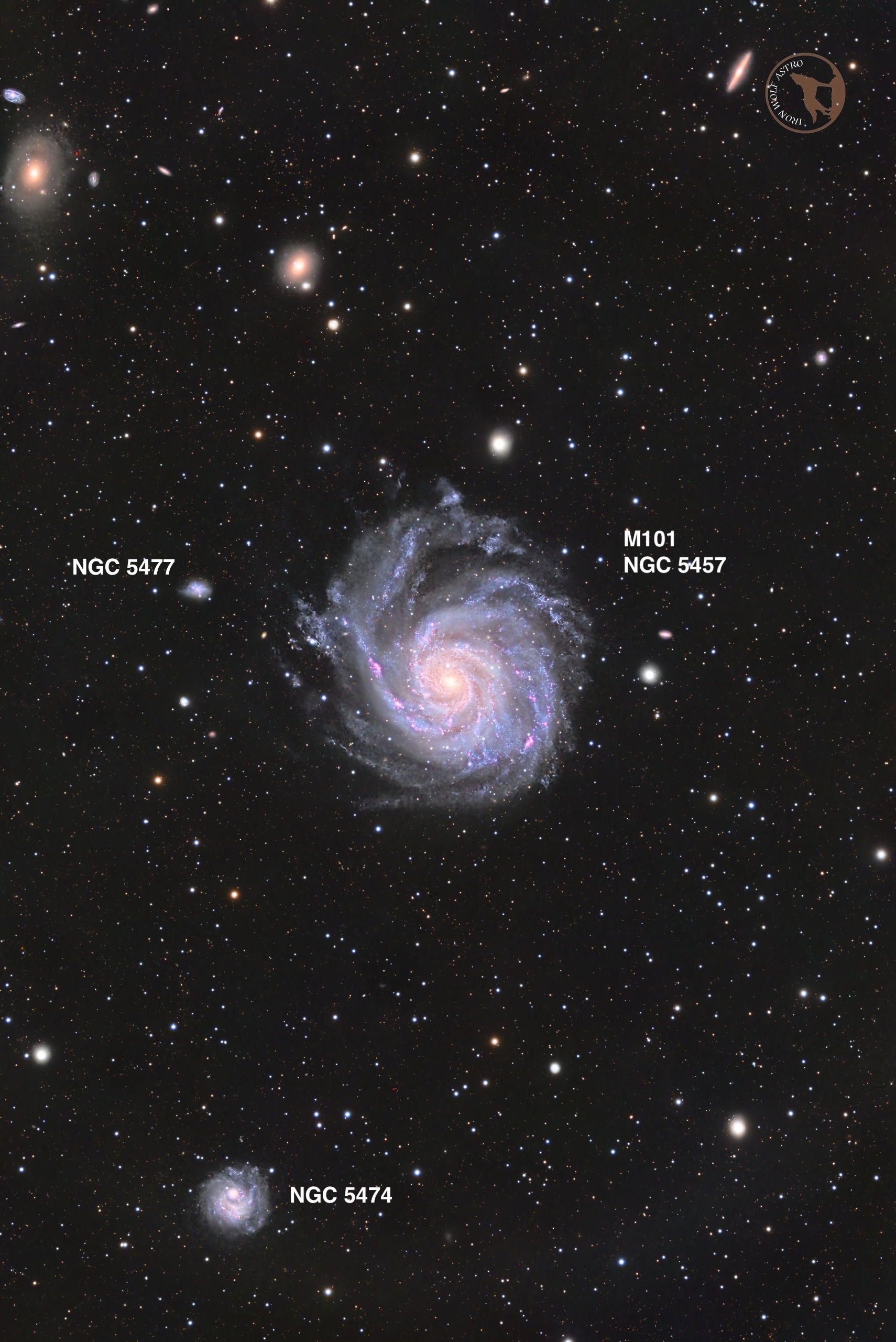 View of the M101 Group. M101 is at the center, with its asymmetric spiral arms and numerous pink star-forming regions. NGC 5474 is to the bottom left with its offset bulge clearly visible to the north of a face-on spiral disk. Another M101 satellite, NGC 5477, is immediately to the left of M101; a small irregularly shaped galaxy. Numerous other background galaxies and foreground stars dot the image.