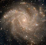 SIGNALS on the mixing of oxygen and nitrogen in the spiral galaxy NGC 6946