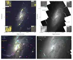 Ionized gas in NGC 4258: Exploring the AGN - Star formation connection