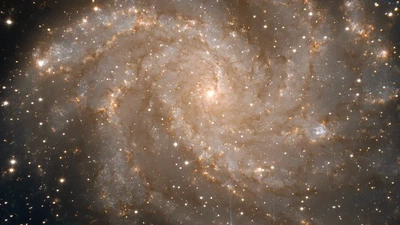 SIGNALS on the mixing of oxygen and nitrogen in the spiral galaxy NGC 6946 featured image