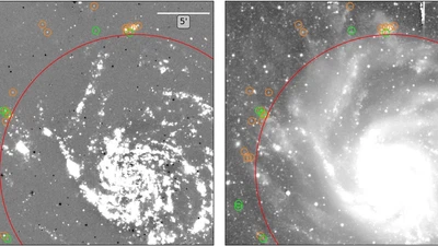 A Deep Census of Outlying Star Formation in the M101 Group featured image
