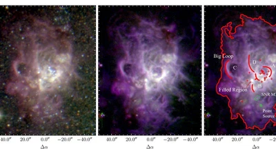 SIGNALS of Giant HII Regions: A Spatially Resolved Analysis of NGC 604 featured image