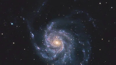 Investigating the Galactic Evolution of M101 with Deep Narrowband Imaging featured image