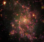 SIGNALS of Star Formation in Local Galaxies